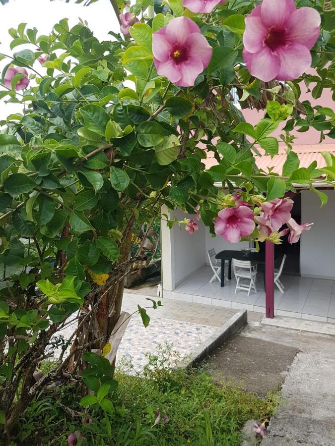 F1 Studio Martinique Guinee-Fleury Exterior photo